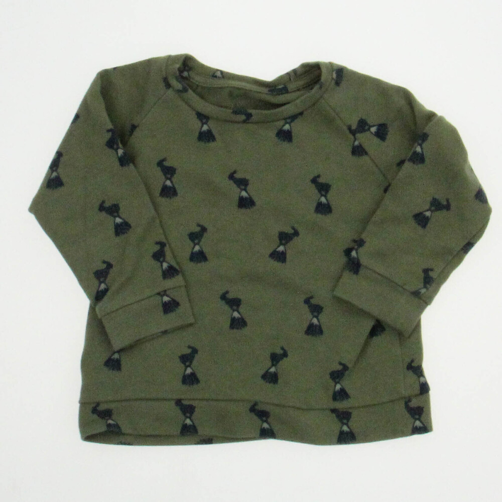 Freshly Picked Boys Green | Blue Long Sleeve Shirt size: 12 Months
